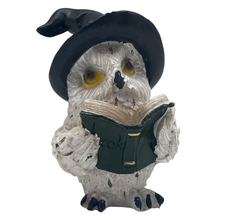 Innenmodell "Magische Eule mit Buch" - 65 x 75 mm
