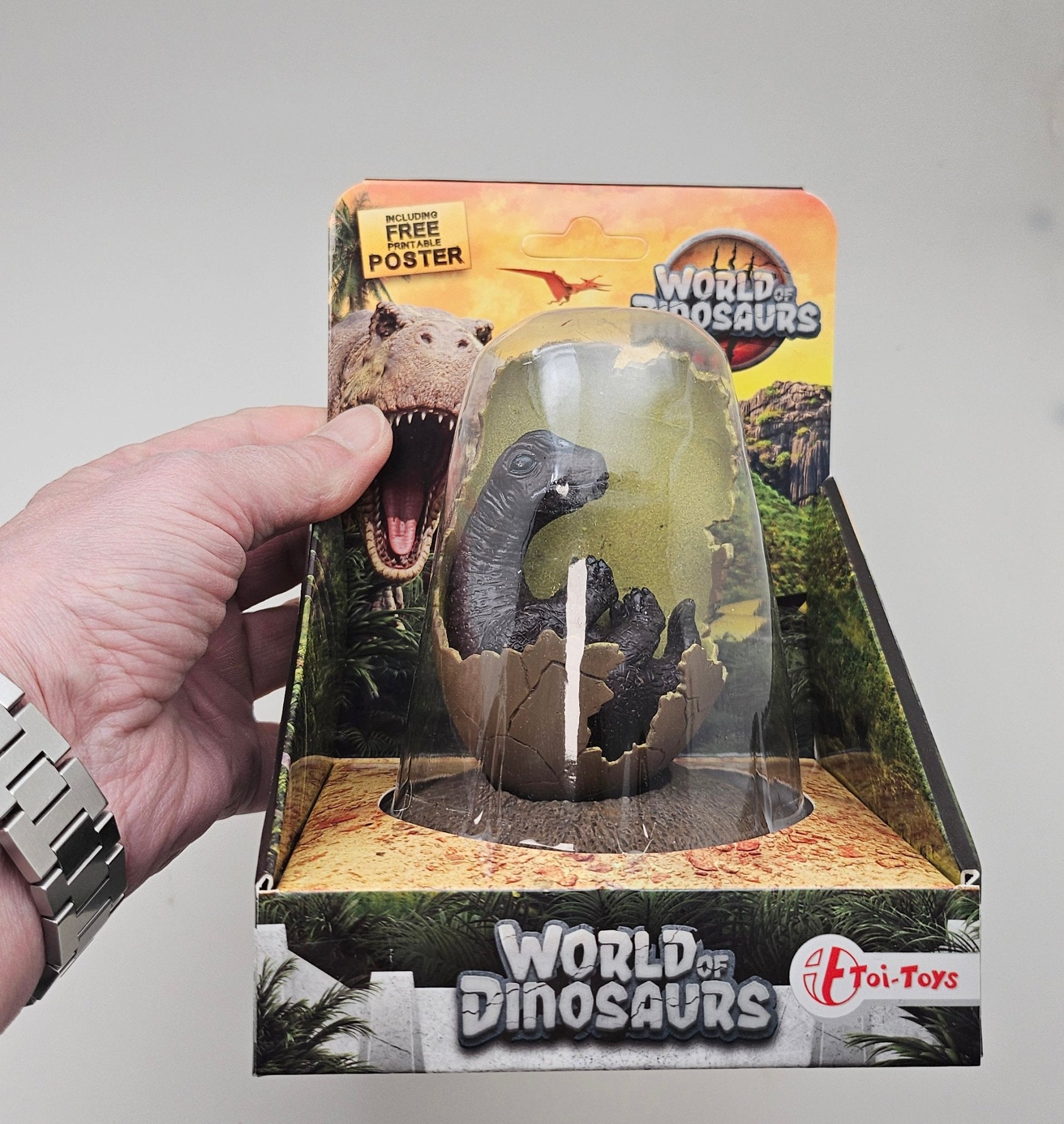 Innenmodell Baby - Dinosaurier im Ei - Brachiosaurus - 60 x 100 mm - Schneekugelhaus
