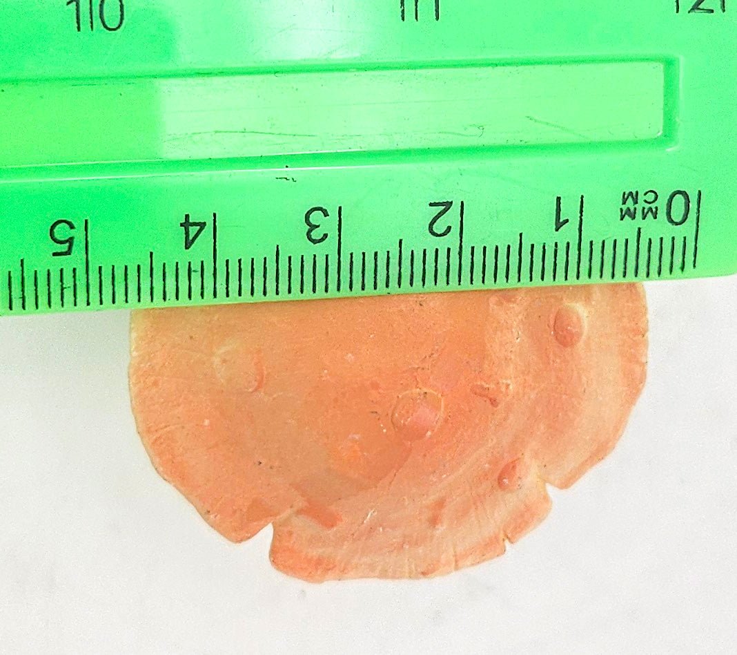 Innenmodell „Blumenfee unter Pilz“ Flügel lila - 46mm x 55mm - Schneekugelhaus