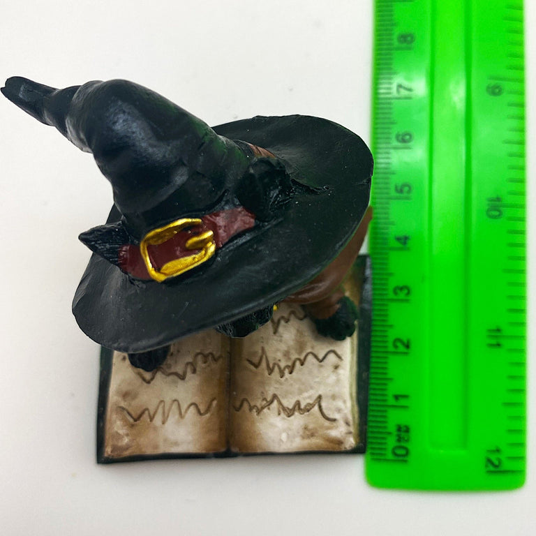 Innenmodell "Schwarze Katze mit grünen Buch" - 50 x 70 mm - Schneekugelhaus