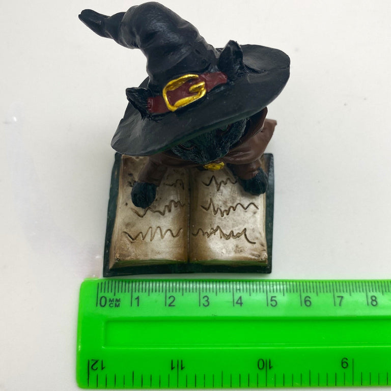 Innenmodell "Schwarze Katze mit grünen Buch" - 50 x 70 mm - Schneekugelhaus
